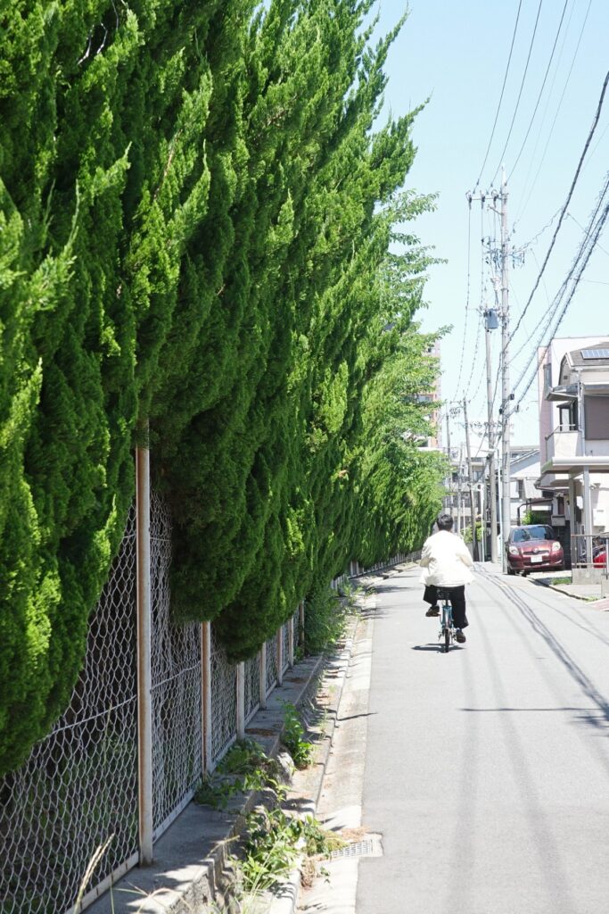 名古屋工業大学周辺の住宅街。緑の並木と自転車が行き交う初夏の街並み